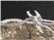 Black/Realtree Edge